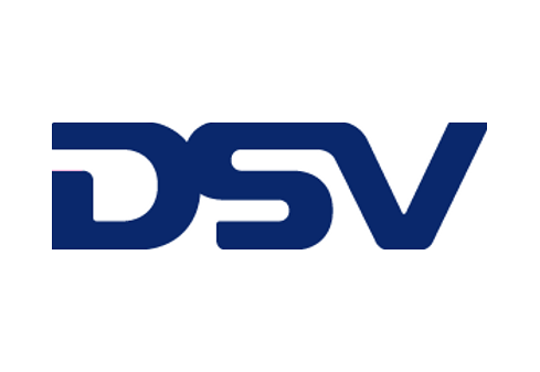 DSV2