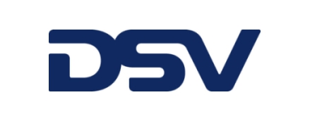 dsv2