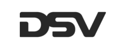 dsv3