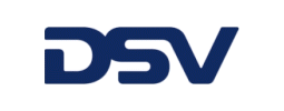 dsv4